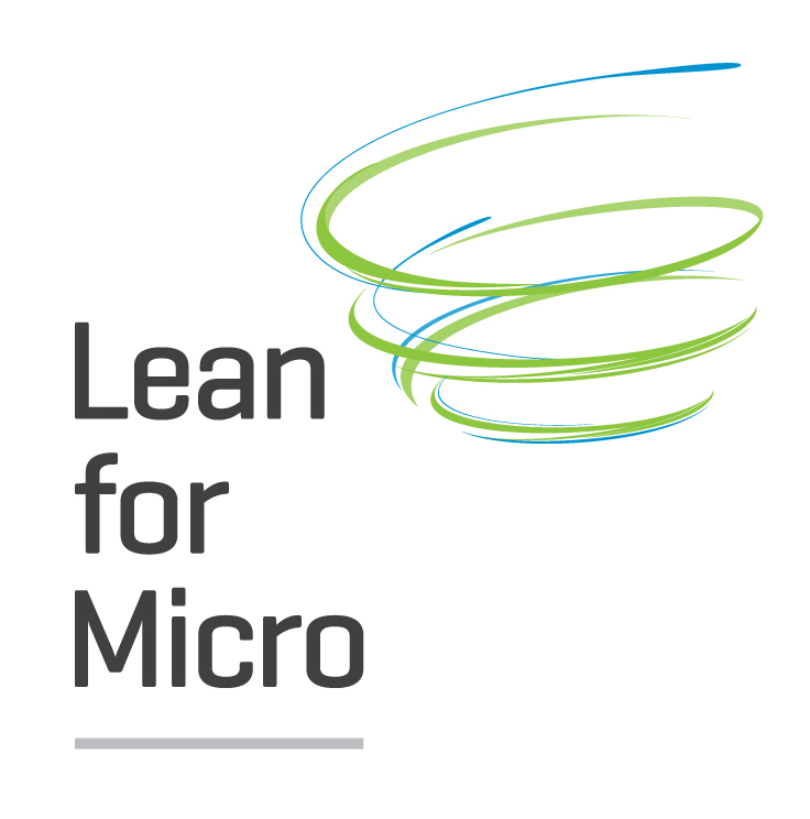 The Local Enterprise Office Leitrim is offering a LEAN for Micro