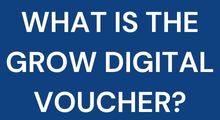 WHAT IS THE GROW DIGITAL VOUCHER